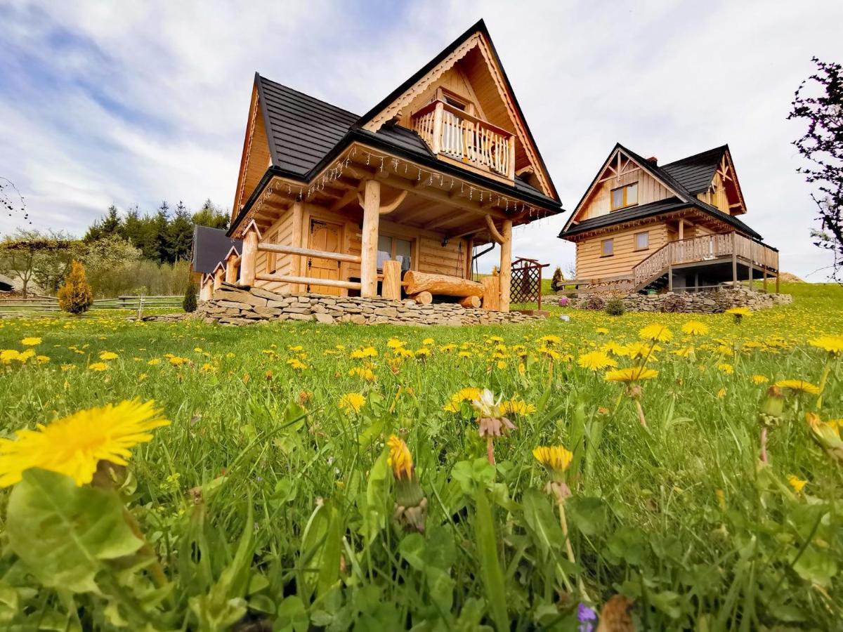 Lodge W Mizernej 38, Czorsztyn , Pieniny, Szczawnica
