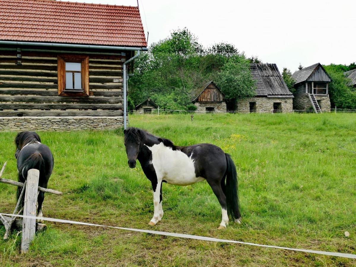 W Mizernej 38, Czorsztyn , Pieniny, Szczawnica * Kluszkowce