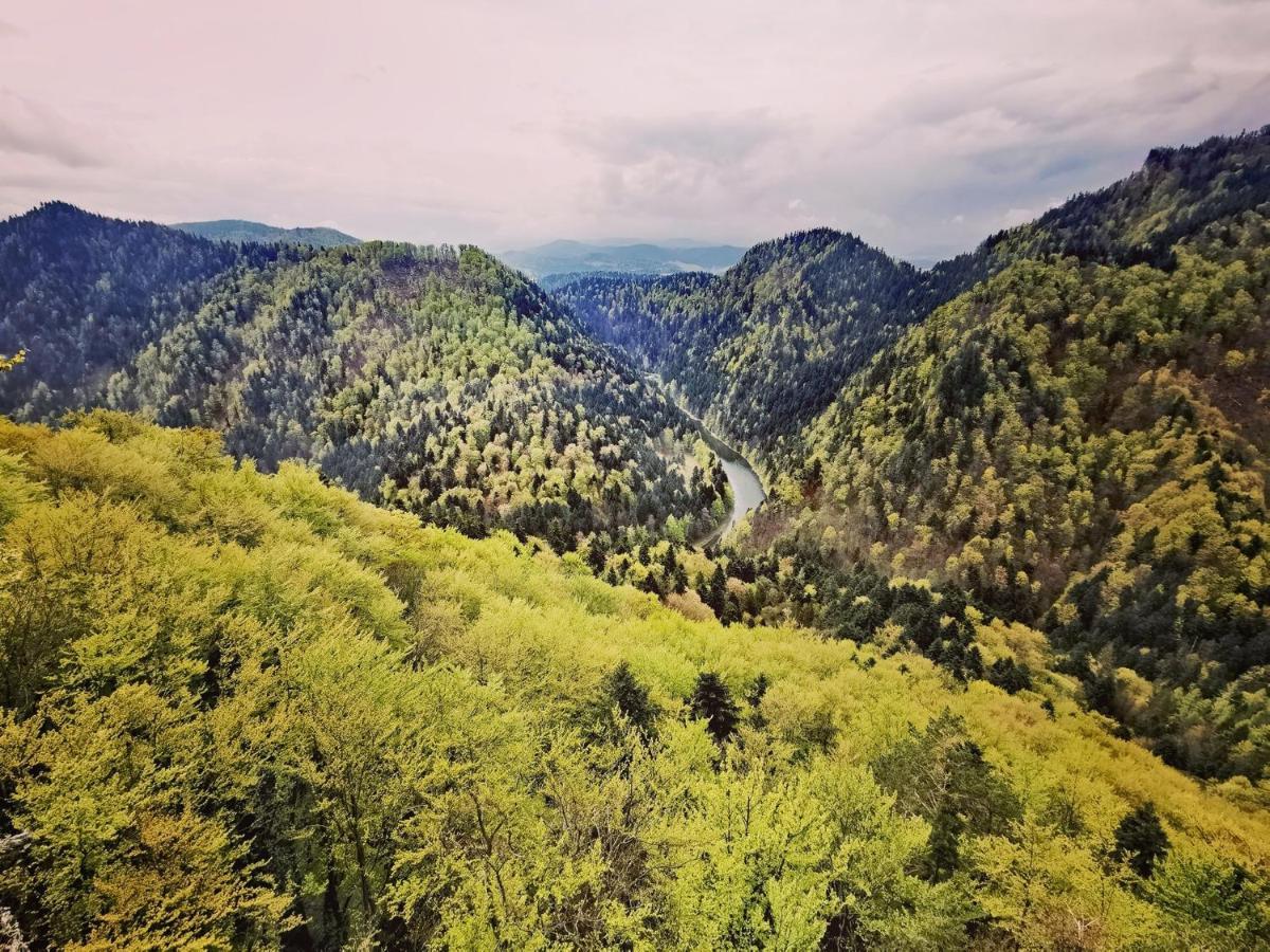 Lodge W Mizernej 38, Czorsztyn , Pieniny, Szczawnica *