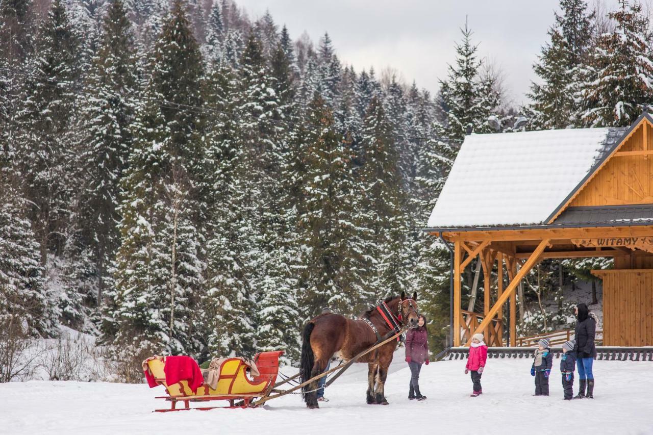 W Mizernej 38, Czorsztyn , Pieniny, Szczawnica Lodge *